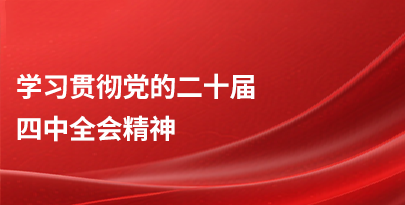 學(xué)習(xí)貫徹黨的二十屆四中全會精神